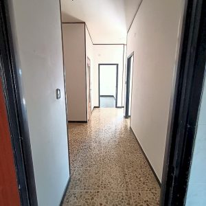 IMG20240916153933