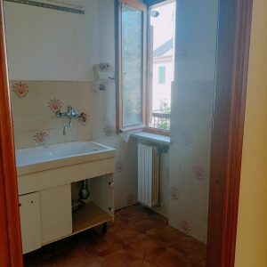 IMG20241011142657