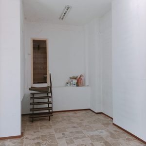 IMG20250403101159