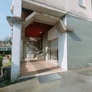 IMG20250403101536