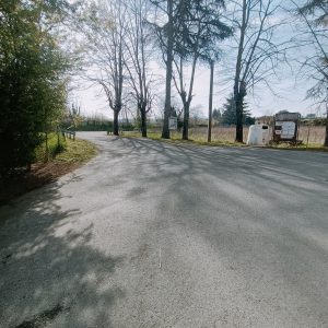 IMG20250403101655
