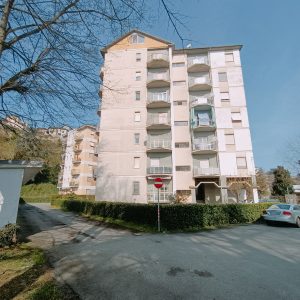 IMG20250403101715