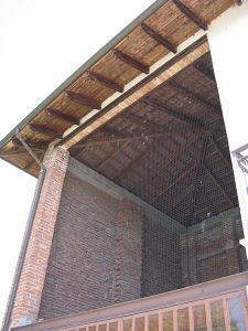 IMG_0225