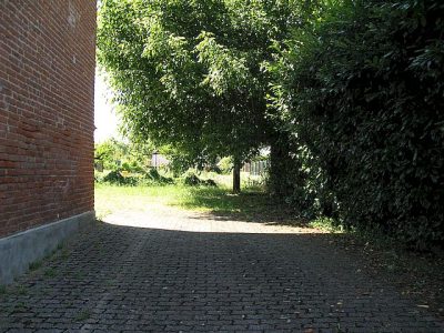 IMG_0227-1