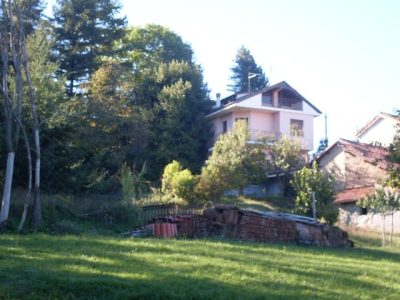 SDC12138