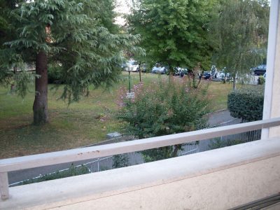 SDC12458-1